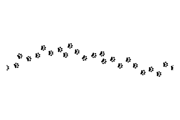 Cat Paw Track. Black Pet Footprint Trail