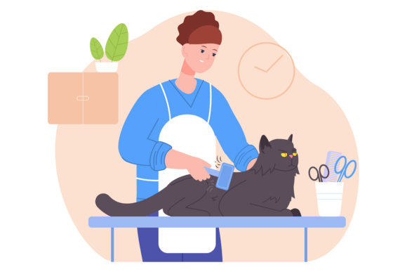 Happy Cat at Groomer Table. Animal Haird